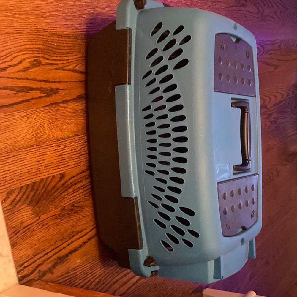 Little cat carrier